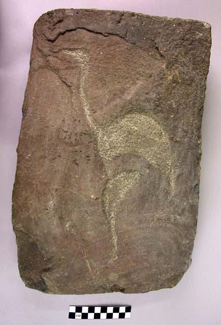 Original of etched type of pictograph depicting an ostrich