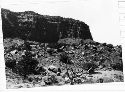 Flint Springs trail into waterhole flat