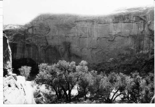 Barrier Canyon, View of opposite canyon wall taken from SR-8-3