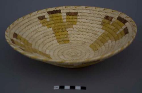 Basketry bowl with cactus design