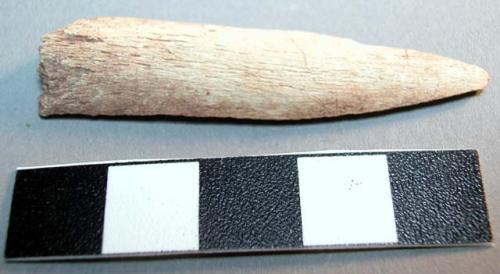 Organic bone point, split lengthwise, broken