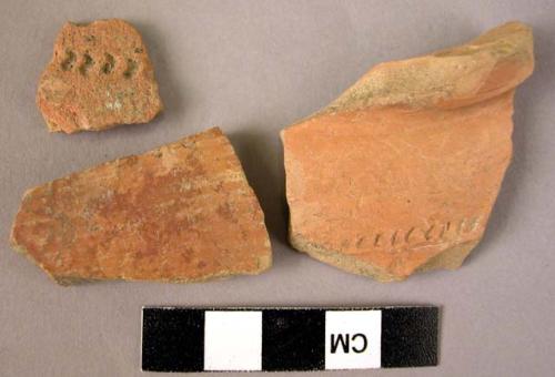 3 red slipped ware sherds