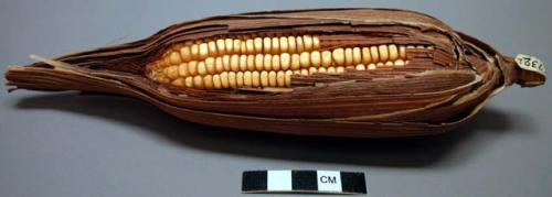 Corn with husk