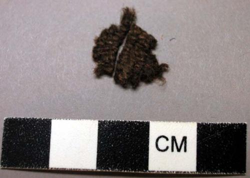 Fiber sample, Hair - sheep