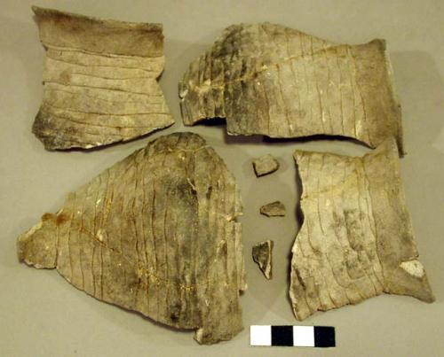 Corrugated sherds