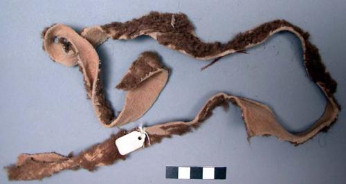 Strip of buffalo hide