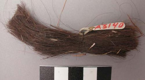 Bundle of human hair