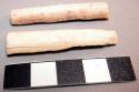 Organic bone fragments, split lengthwise, worked