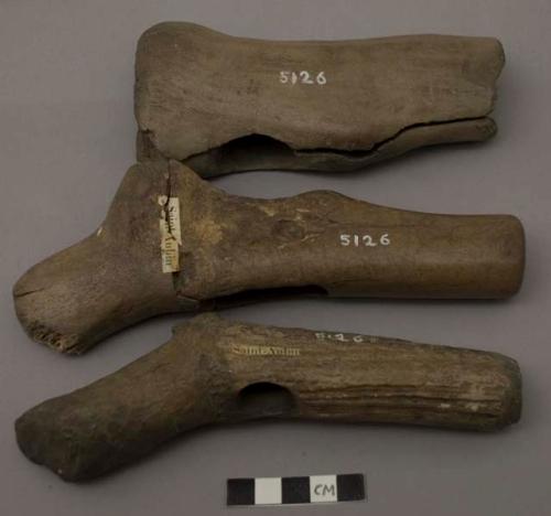 Hammers made of antler. Cervid, antler.