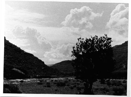 Photo of Lower Range Creek Canyon