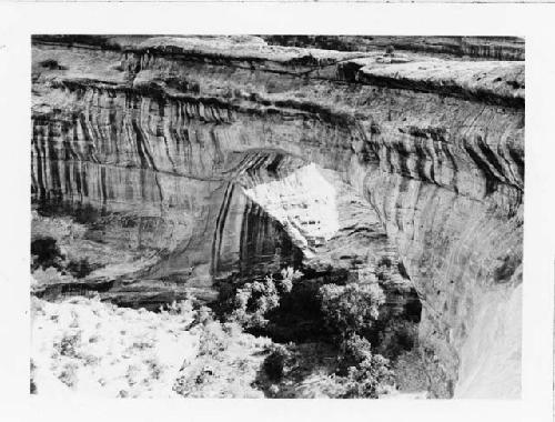 Photo of Natural Bridges National Monument