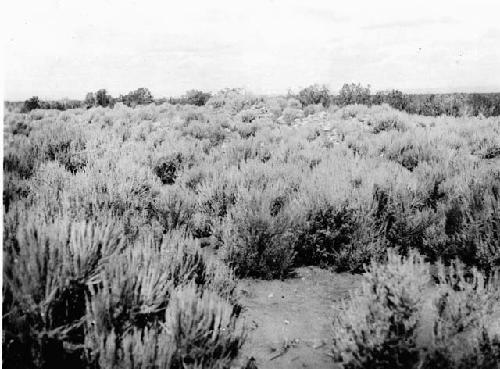 Main house, unexcavated, Large Group