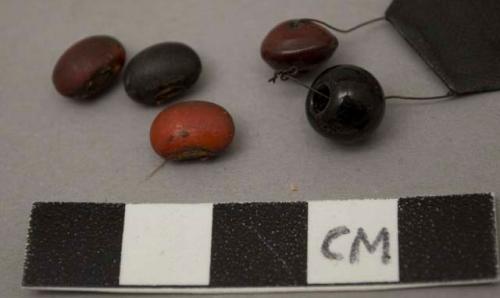 Glass beads, round, one red, one black and 5 red seeds