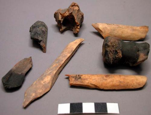 Bone fragments