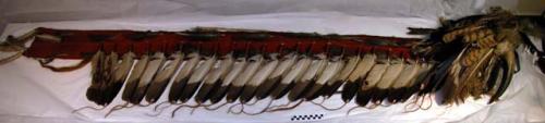 Eagle feather horned headdress. Cap w/ bison horns, ribbon streamers