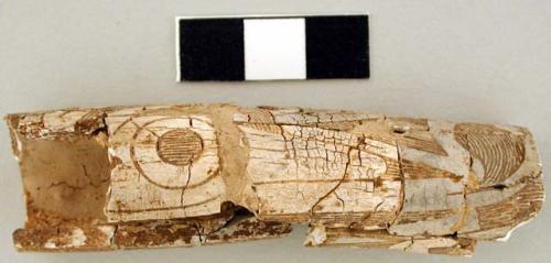 Bone with incised decoration