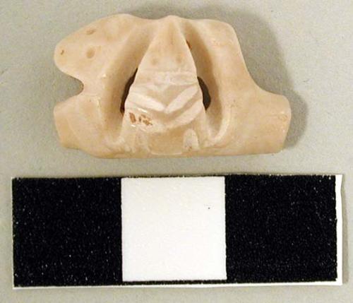 Carved shell fragment