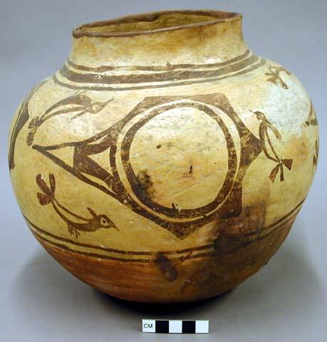 Jar, polacca polychrome style c. zuni rain bird design. 22.4 x 25.2 cm.