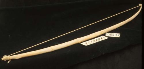 Bow of willow or mesquite wood