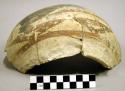 Sherds of jar--restorable. San Bernardino black-on-yellow