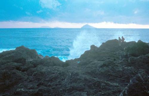 Oshima Island (Tokyo), sport fishing off cliffs