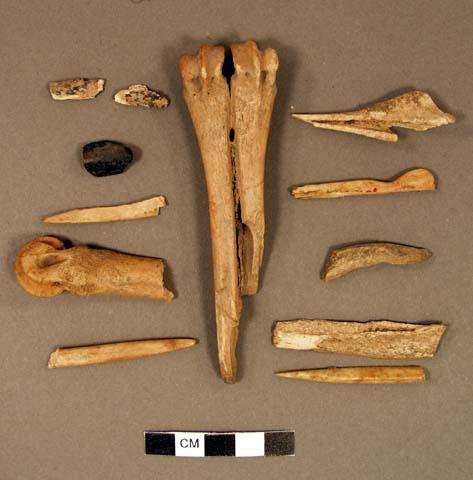 Bone fragments, worked, including one antler fragment