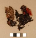 Feathers, very small and fine, red, black & brown; also twine fragment