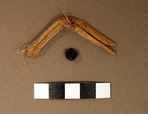 Floral remains, including fiber fragment with remains of yellow paint and seed f