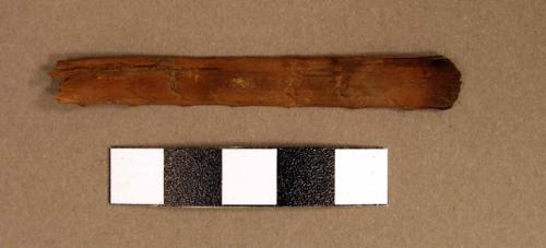 Wood fragments, possibly charred at one end