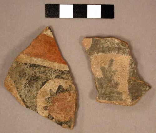 Ceramic rim and body sherds