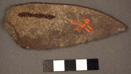 Fragment of semi-triangular hoe-knife; 1 slightly convex working edge parallel t