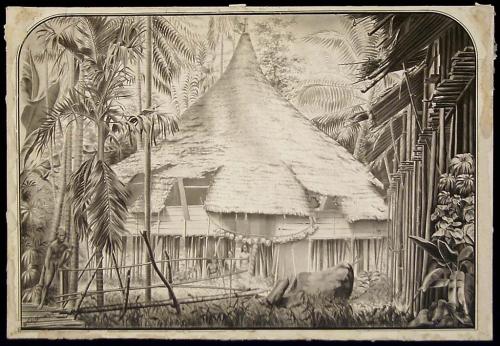 "Dyak House: Borneo." Ink drawing