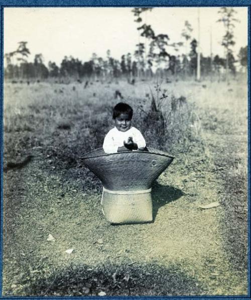 Pack Basket. Baby Sitting in Basket at Bayou Lacombe, Louisiana