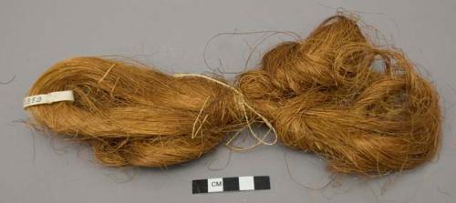 Bundle of shredded agave fiber ready for twisting for rope