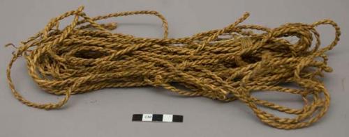 Cordage