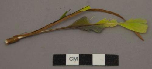 Ornament fragment, partially stripped green feathers w/ fiber tie.
