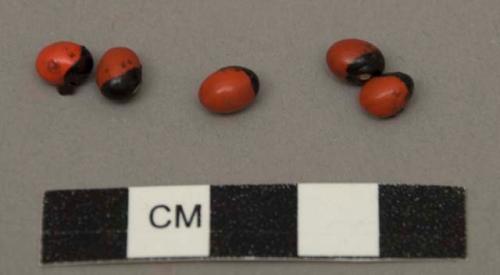 Beans, loose, reddish-orange & black