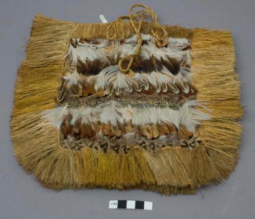 Feather ornamented bag