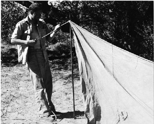 William Donnellan putting up a tent