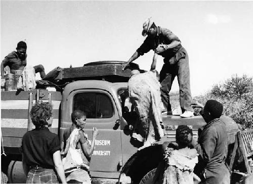 Oukwane on expedition truck, Kernel Ledimo helping someone up; Elizabeth Marshall Thomas and other people in front of expedition truck (print is a cropped image)