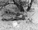 Oukwane lying on his stomach, with sand sprinkled on his back