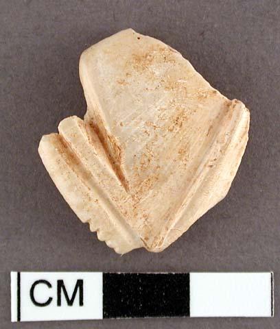 Fragment of carved shell.