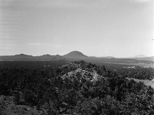 Desert landscape