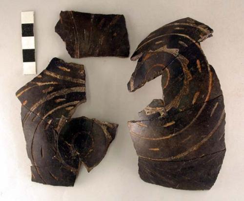 Ceramic sherds, polished black, curvilinear incised design