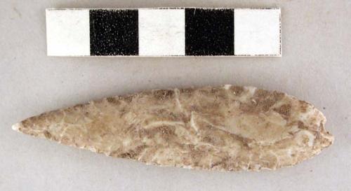 Stone projectile point, ovate