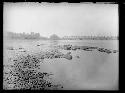 Pennsylvania shore of river looking upstream NNW, railroad bridge in distance.