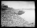 Pennsylvania shore of River looking Northeast upstream just above Calhoun Street bridge opposite Trenton