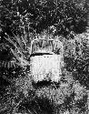 Basket among plants, "left as offering on graves, Parry Islands"