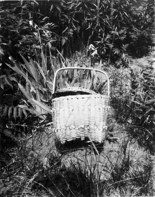 Basket among plants, "left as offering on graves, Parry Islands"