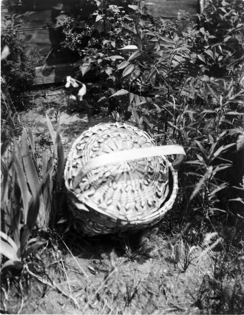 Basket among plants, "left as offering on graves, Parry Islands"